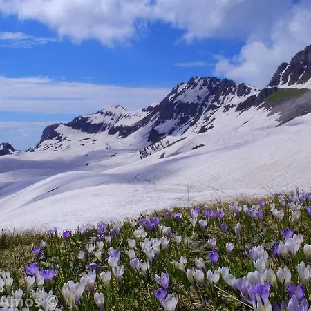 Lejlighed Mini Viale Farra Feltre