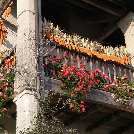 Mini Viale Farra * Feltre