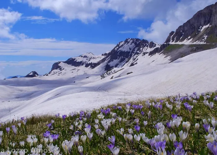 Appartement Mini Viale Farra Feltre
