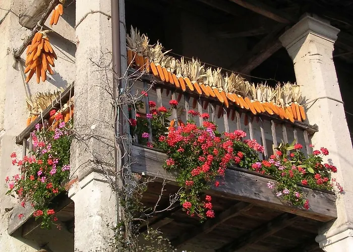 Mini Viale Farra * Feltre